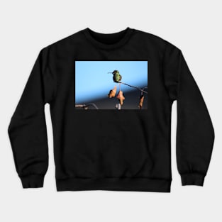 Hummingbird Crewneck Sweatshirt